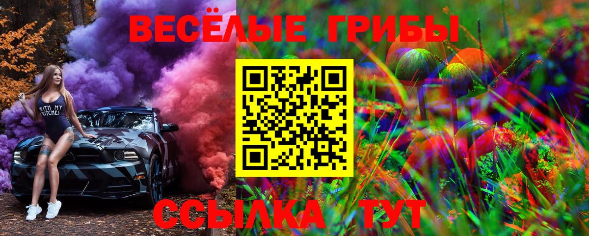 Псилоцибиновые грибы Magic Shrooms  Вход с VPN  Артём 